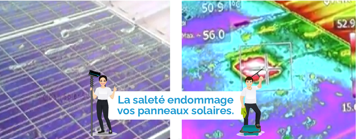 Panneaux solaires en verre micro structuré avec lichens