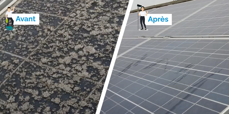 Nettoyer vos Vitres & Panneaux Photovoltaïques ? Découvrez-ici la