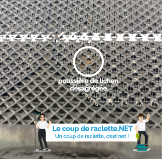 Panneaux solaires photovoltaïques poussière de lichen